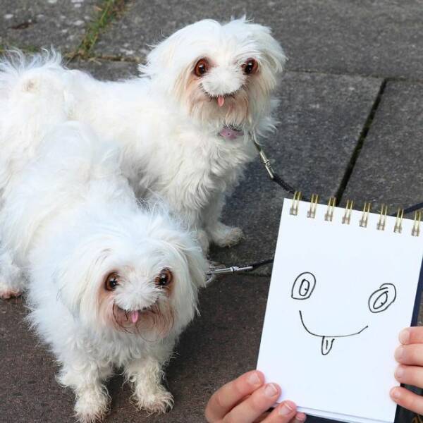 When Dad Brings Kids Animal Drawings To Life