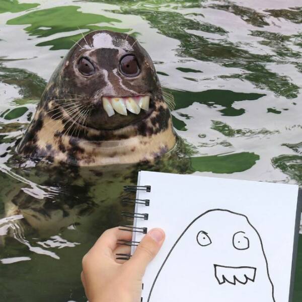 When Dad Brings Kids Animal Drawings To Life