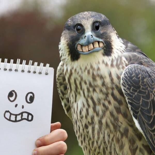 When Dad Brings Kids' Animal Drawings To Life (24 PICS) - Izismile.com