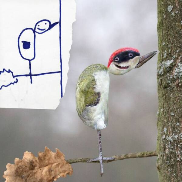 When Dad Brings Kids Animal Drawings To Life