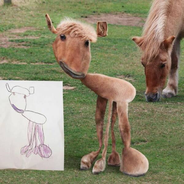 When Dad Brings Kids Animal Drawings To Life