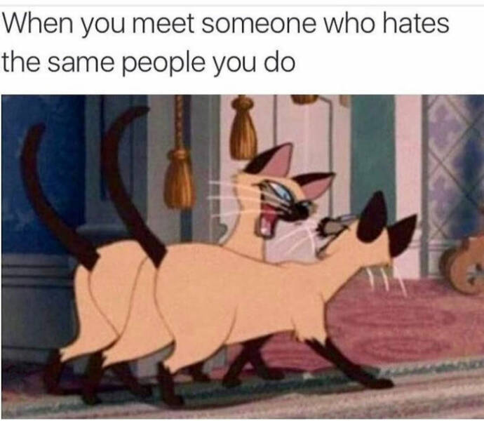 Sarcasm At Its Finest: Hilarious Memes To Brighten Your Day