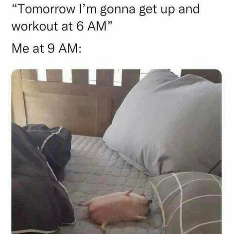 Sarcasm At Its Finest: Hilarious Memes To Brighten Your Day