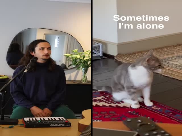 The Kiffness x Lonely Cat - Sometimes Im Alone