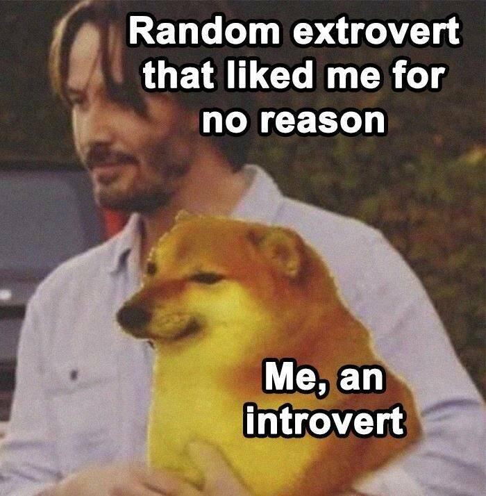Introvert Memes: Laughing In The Comfort Of Solitude