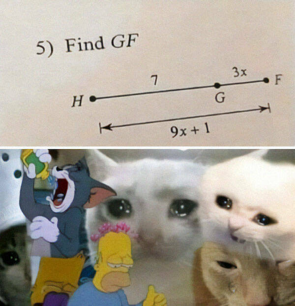 Math Memes That Require A PhD to Fully Appreciate