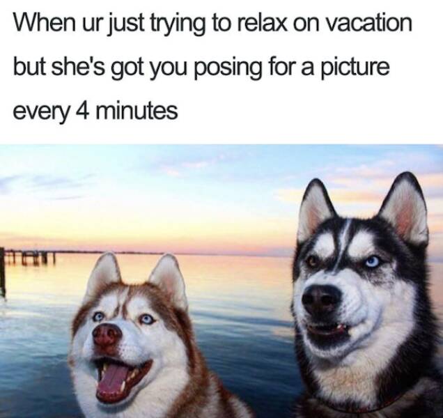 Sun, Sand, And Memes: Getting Into The Summer Vacation Spirit