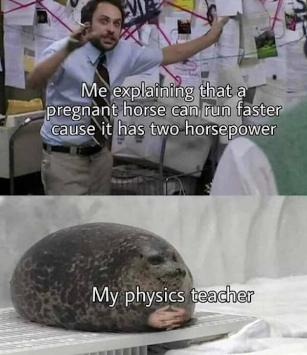 When Stupidity Crosses The Line And Becomes Hilarious When Stupidity Crosses The Line And Becomes Hilarious