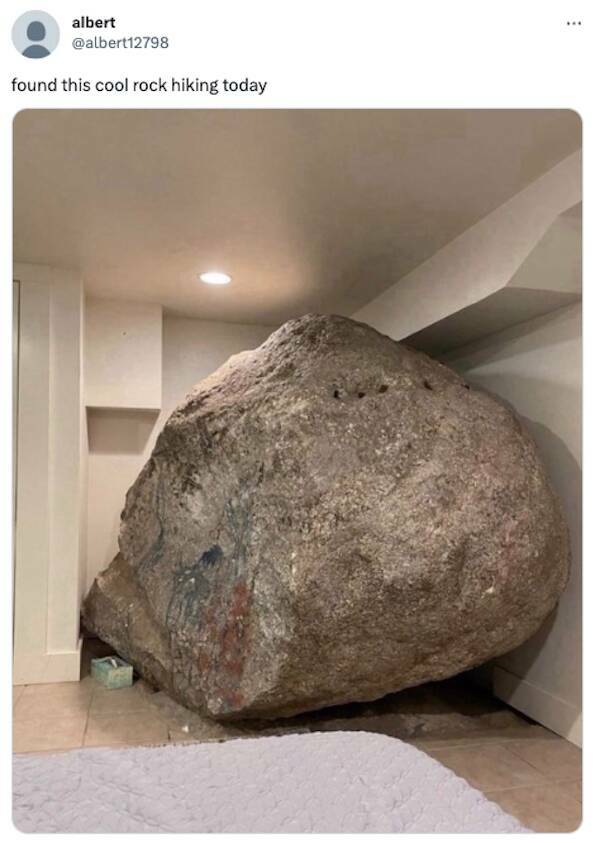 When Stupidity Crosses The Line And Becomes Hilarious When Stupidity Crosses The Line And Becomes Hilarious