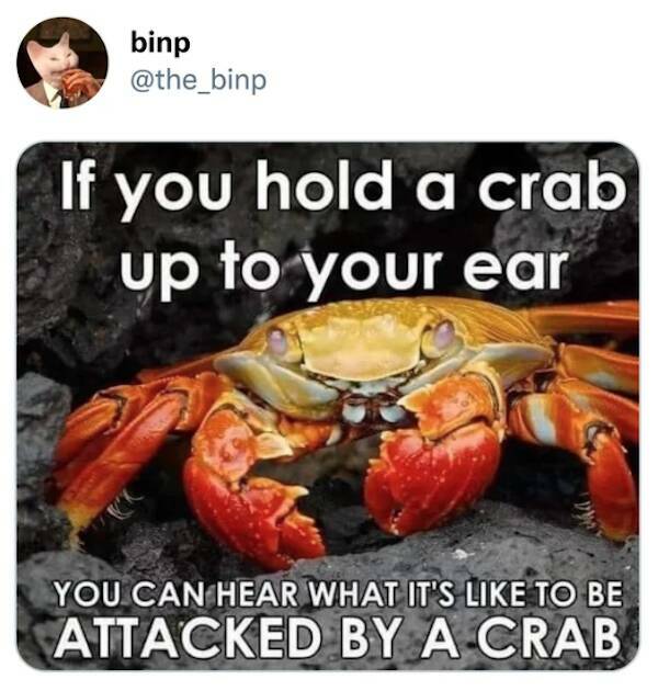 When Stupidity Crosses The Line And Becomes Hilarious When Stupidity Crosses The Line And Becomes Hilarious