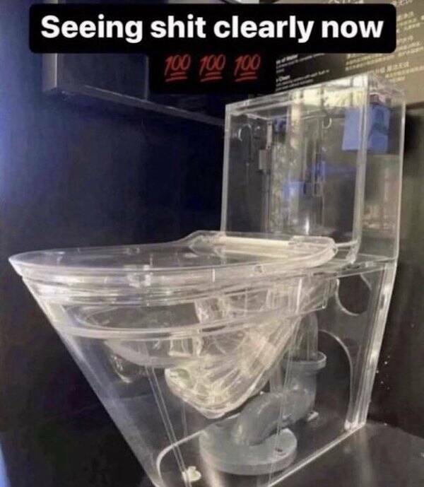 When Stupidity Crosses The Line And Becomes Hilarious When Stupidity Crosses The Line And Becomes Hilarious