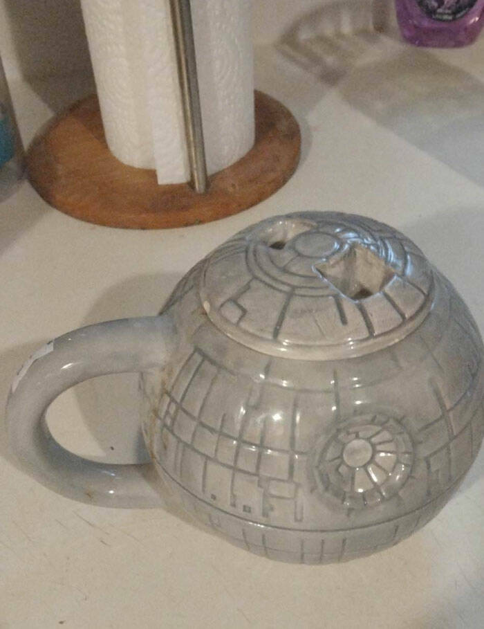 Bizarre Secondhand Finds: Join The Quirkiest Collection