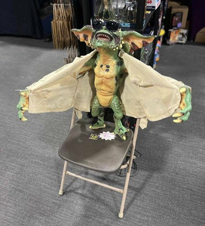 Bizarre Secondhand Finds: Join The Quirkiest Collection