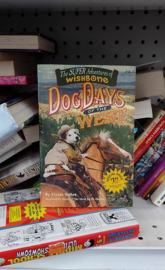 Bizarre Secondhand Finds: Join The Quirkiest Collection Bizarre Secondhand Finds: Join The Quirkiest Collection