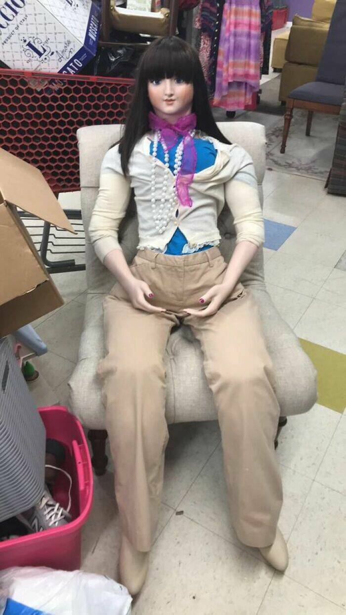 Bizarre Secondhand Finds: Join The Quirkiest Collection Bizarre Secondhand Finds: Join The Quirkiest Collection