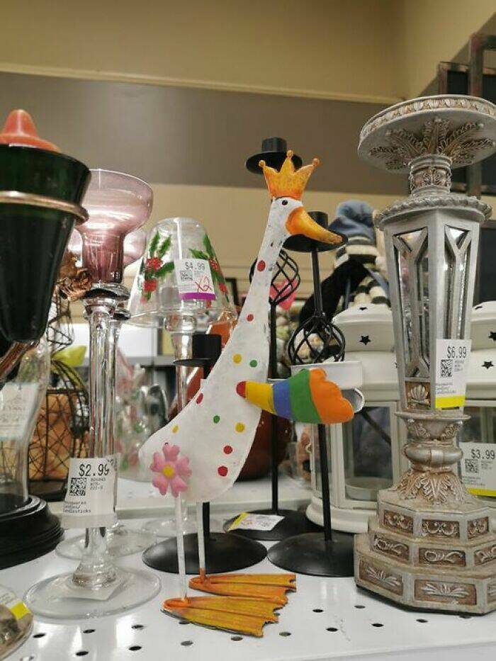 Bizarre Secondhand Finds: Join The Quirkiest Collection Bizarre Secondhand Finds: Join The Quirkiest Collection