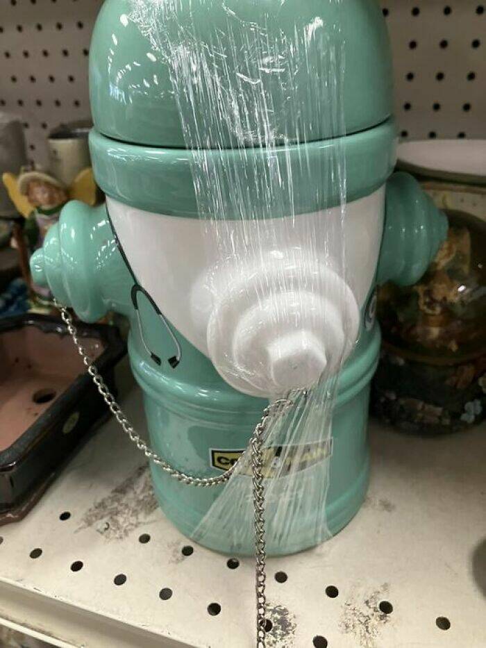 Bizarre Secondhand Finds: Join The Quirkiest Collection Bizarre Secondhand Finds: Join The Quirkiest Collection