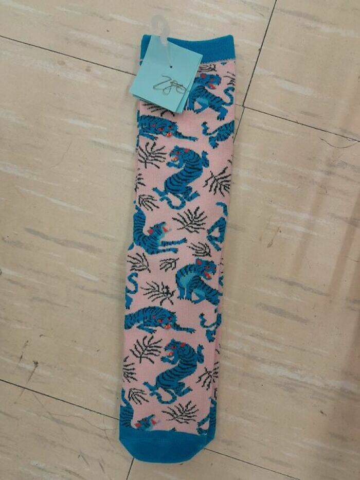 Bizarre Secondhand Finds: Join The Quirkiest Collection Bizarre Secondhand Finds: Join The Quirkiest Collection