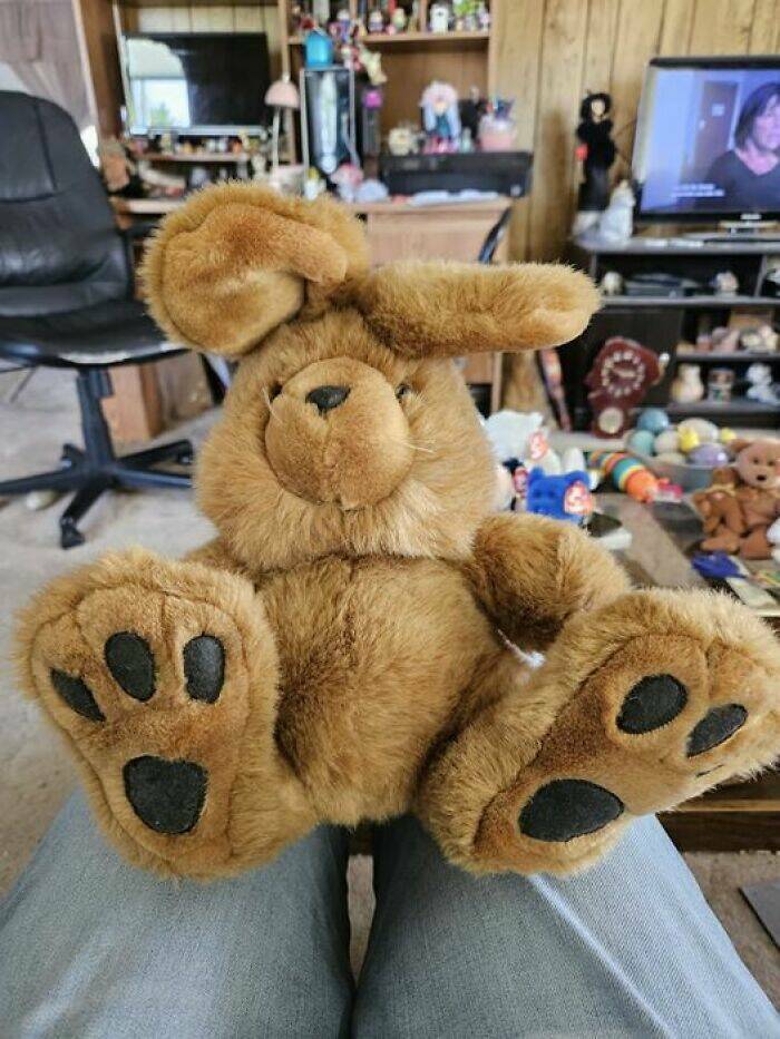 Bizarre Secondhand Finds: Join The Quirkiest Collection Bizarre Secondhand Finds: Join The Quirkiest Collection