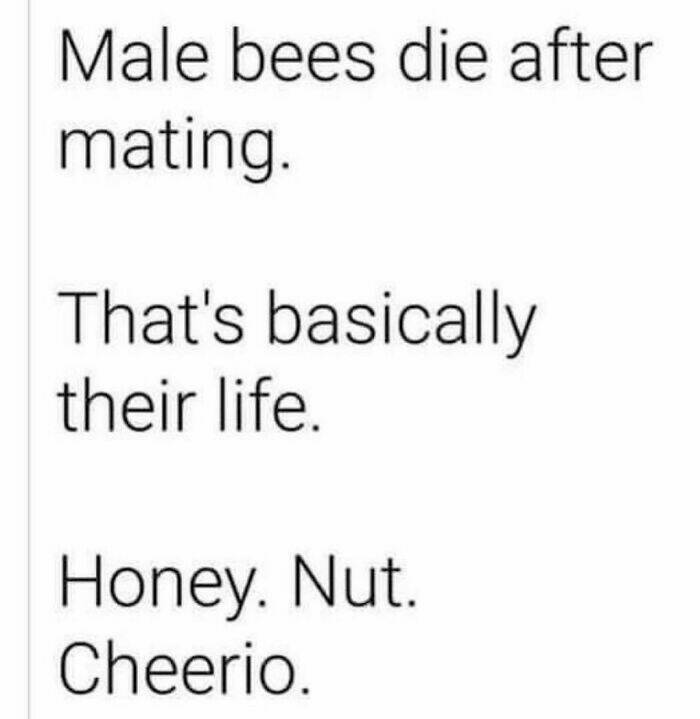 Laughing Through Life: Memes That Relate To Everything Laughing Through Life: Memes That Relate To Everything