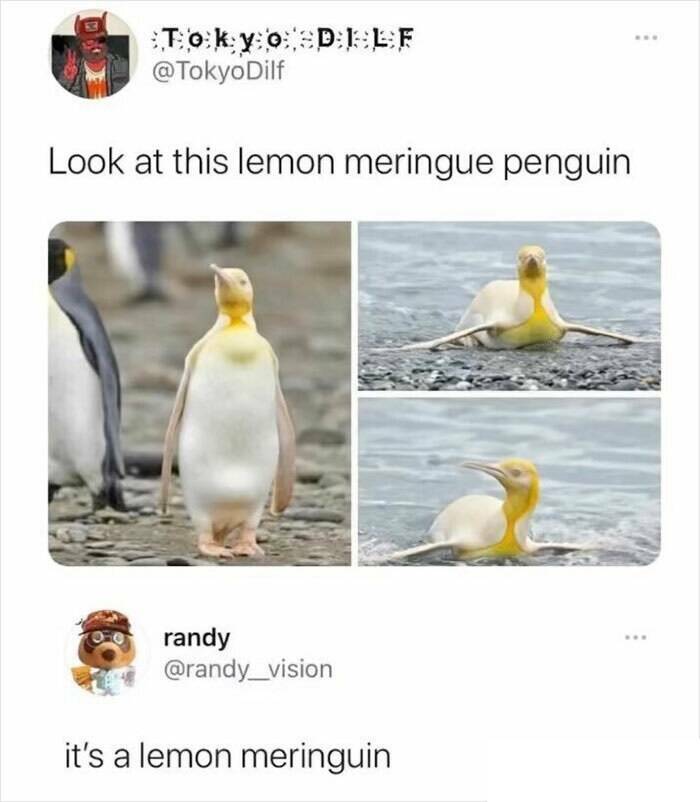 Laughing Through Life: Memes That Relate To Everything Laughing Through Life: Memes That Relate To Everything