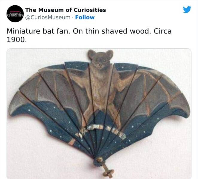 Curious And Bizarre Discoveries From The Twitter Museum