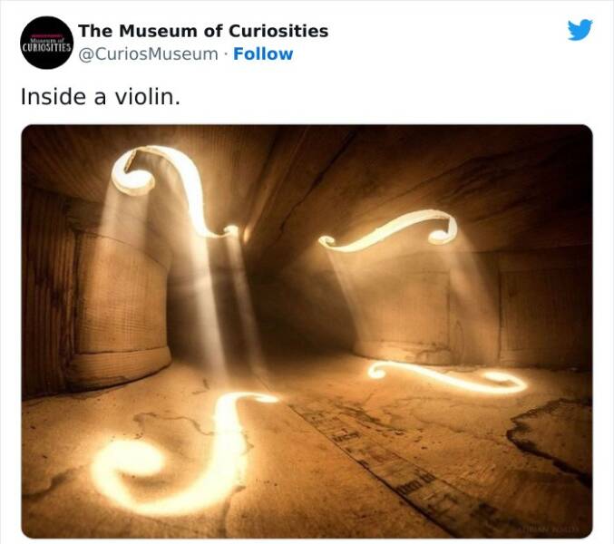 Curious And Bizarre Discoveries From The Twitter Museum