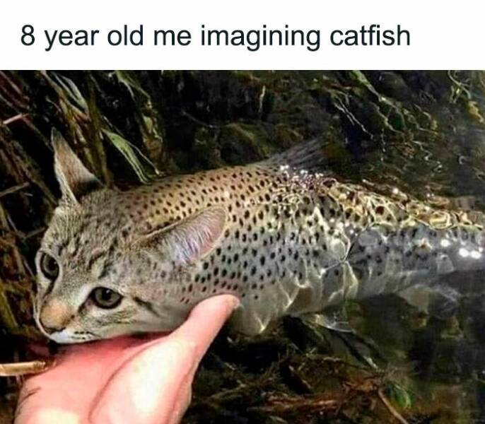 Relatable Memes That Hit Close To Home For Everyone