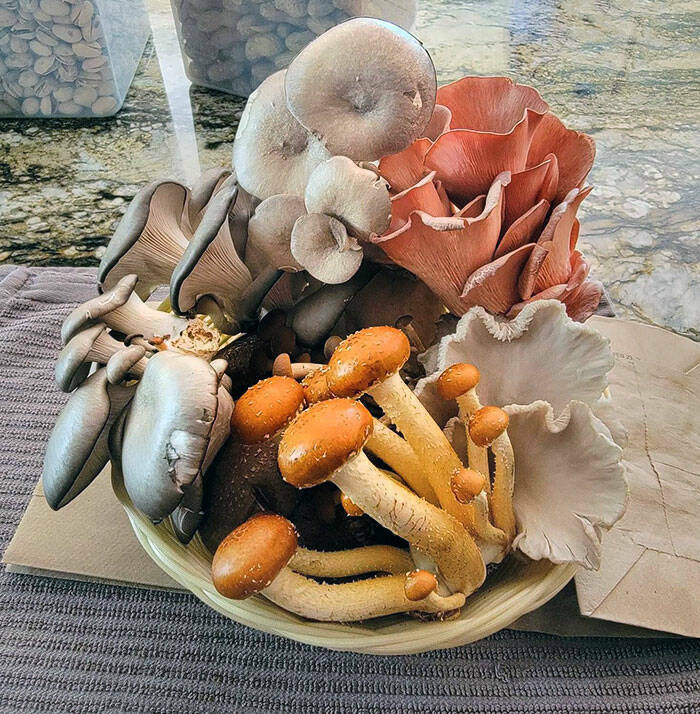 Laughs And Love: Boyfriends And Husbands Who Master The Art Of Comedy