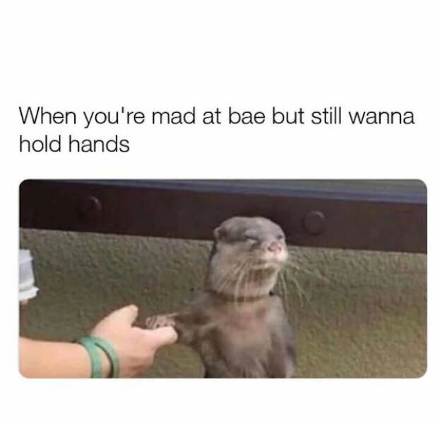 Relationship Memes: Laughter And Relatability In Every Frame