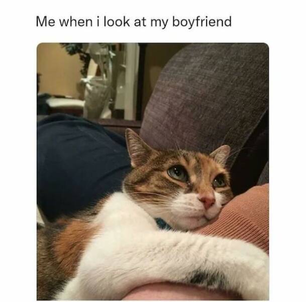 Relationship Memes: Laughter And Relatability In Every Frame