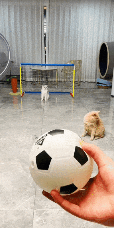 Morning Gifdump Morning Gifdump