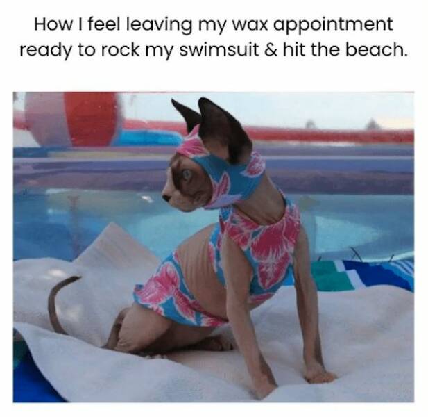 Memes That Perfectly Capture The Absurdity Of This Hot Summer