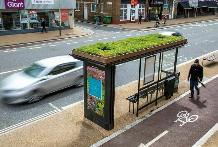 Bus Stops Beyond Ordinary: The Most Creative And Unique Designs