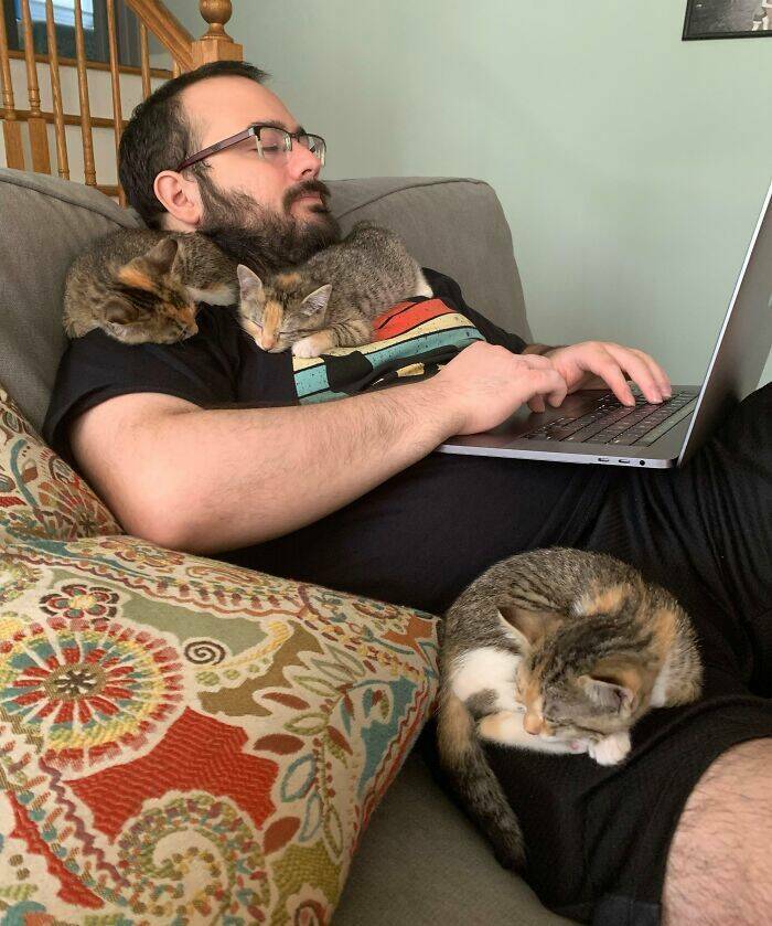 Incredible Animal Acts Of Kindness That Will Restore Your Faith In The World