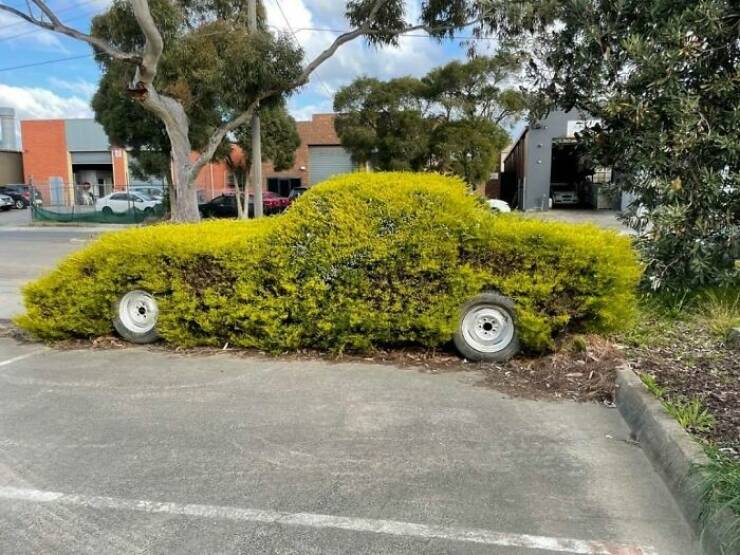 When Landscaping Takes A Unique Turn