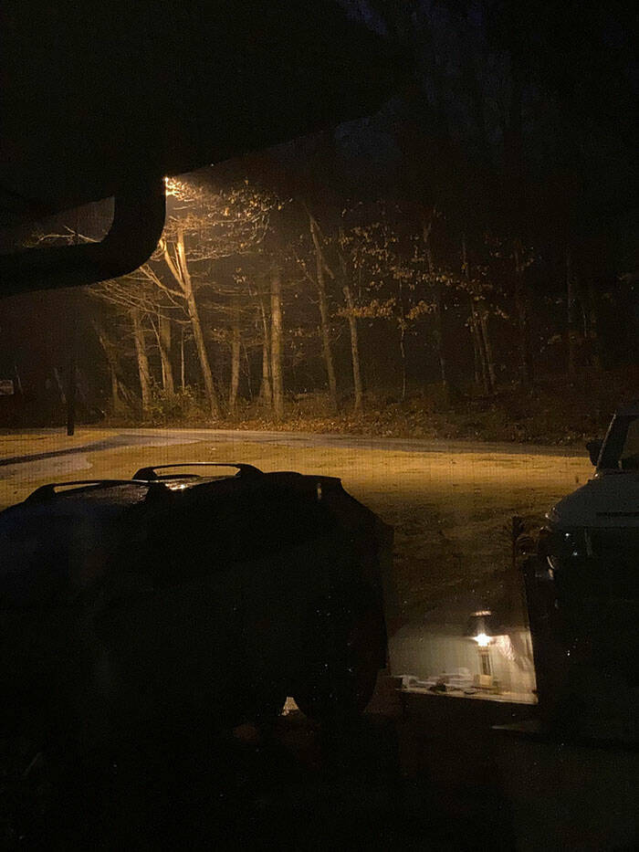 This Sevierville Resident'S Story Will Give You Goosebumps (Twra, Bear) - 5jzcmd1