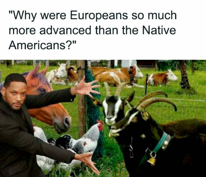 Laugh And Learn: History Memes That Teach And Amuse