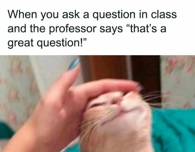 Laugh Your Way Through Education With These Hilarious Memes