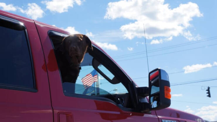 A Tribute To America: Images That Evoke The Spirit Of The Nation