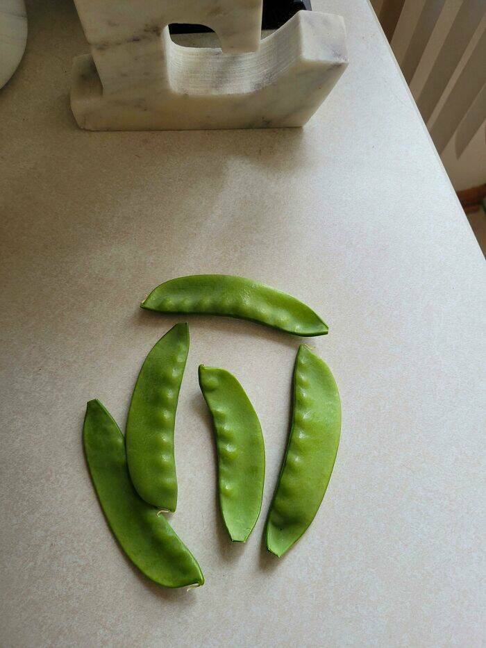 Garden Failures: When Growing Your Own Food Takes An Unexpected Turn