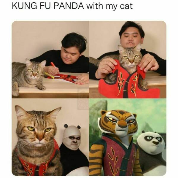 Memes That Perfectly Sum Up the Ridiculousness Of Life