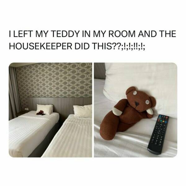 Memes That Perfectly Sum Up the Ridiculousness Of Life