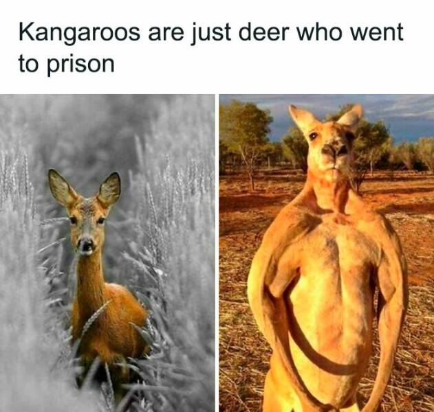 Memes That Perfectly Sum Up the Ridiculousness Of Life