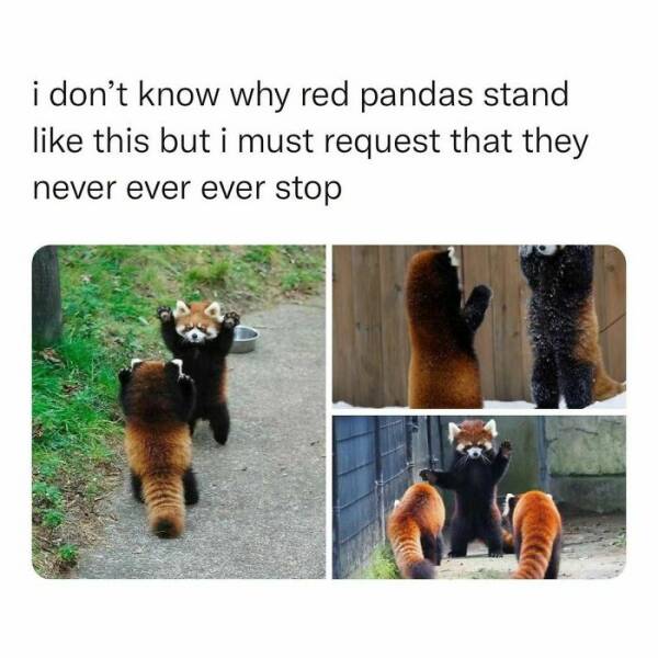 Memes That Perfectly Sum Up the Ridiculousness Of Life