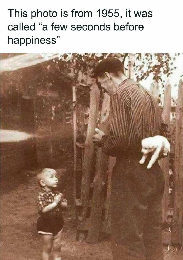 Memes That Perfectly Sum Up the Ridiculousness Of Life