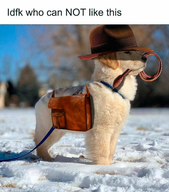 Memes That Perfectly Sum Up the Ridiculousness Of Life