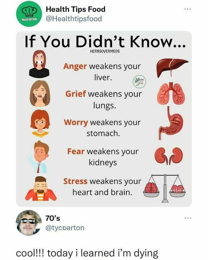 Memes That Perfectly Sum Up the Ridiculousness Of Life
