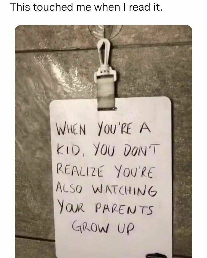 Memes That Perfectly Sum Up the Ridiculousness Of Life