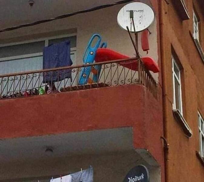 Daily Picdump
